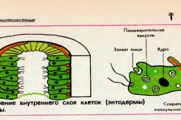 Кракен тг ссылка