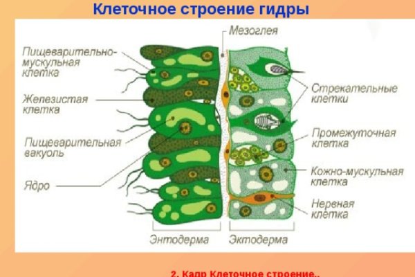 Kraken ссылка для тору