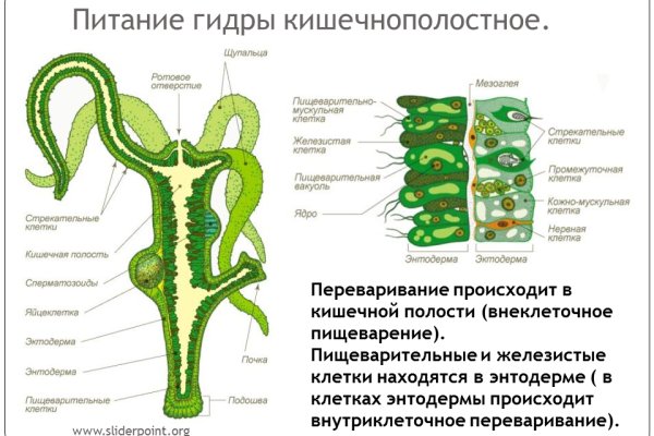 Кракен шоп интернет нарко