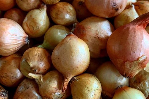 Не работает ссылка крамп